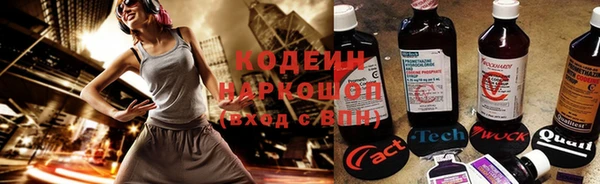 ПСИЛОЦИБИНОВЫЕ ГРИБЫ Вязьма
