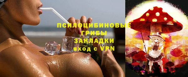 герыч Горняк