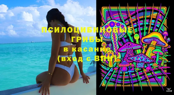 ПСИЛОЦИБИНОВЫЕ ГРИБЫ Вязьма