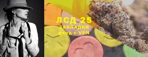 ПСИЛОЦИБИНОВЫЕ ГРИБЫ Вязьма