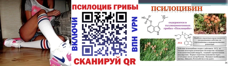 Галлюциногенные грибы GOLDEN TEACHER  Купить  Красновишерск 